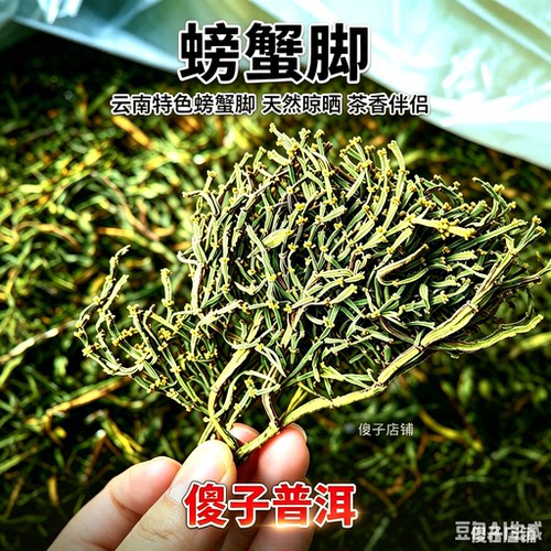 景迈野生古树螃蟹脚云南普洱香气足回甘甘甜味道纯正纯料春茶批零