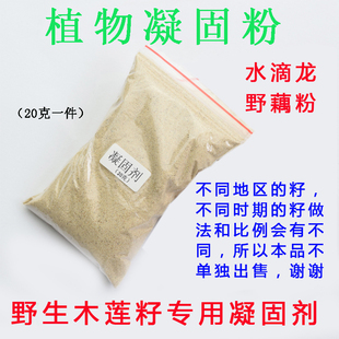 浙江木莲豆腐冰木莲专用凝固剂野藕粉（水滴龙）20克一包