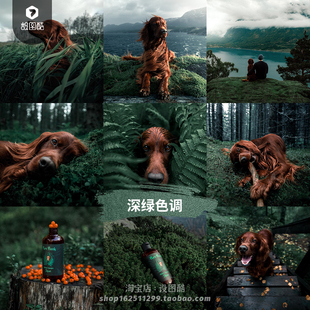 森林草原植物深绿暗绿色调Lr预设Ps滤镜PR达芬奇Lut调色FCPX剪映