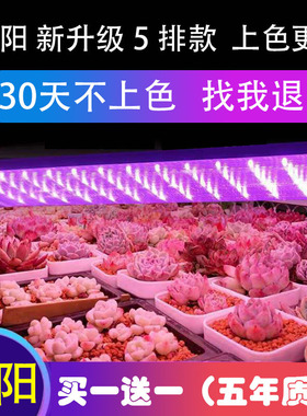 正阳全光谱led多肉补光灯家用上色快防徒长仿太阳光花卉植物生长