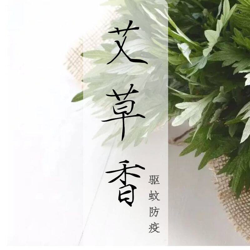 端午陈年艾草线香家用避虫净化空气卧室客厅庭院香道自然草本配方