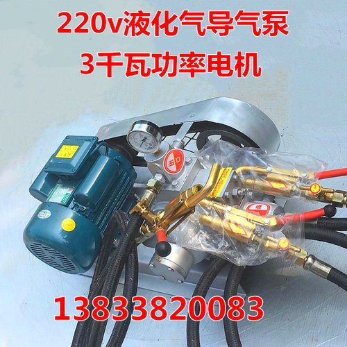 新款220v液化气导气泵 车载48v伏12v导气机 煤气丙烷充气泵倒气泵