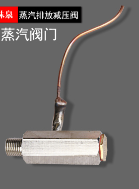 饮水机配件蒸汽阀金味泉