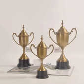 进口铜器奖杯 复古典摆件书房办公桌面插花瓶 法式 欧美式 银色盖坛