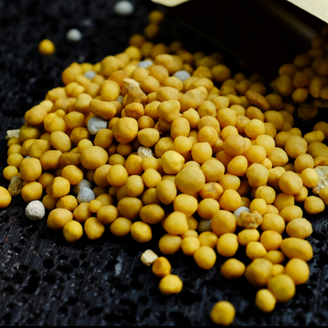 颗粒控释肥5号奥绿肥325多肉肥料长效缓释肥植物球根盆栽花卉基肥,鲜花速递/花卉仿真/绿植园艺,介质/营养土,淘宝优惠券,粉丝福利购,淘宝优惠卷