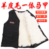 冬季 中老年皮毛一体羊毛马甲真皮草马夹男羊皮背心加厚保暖棉坎肩