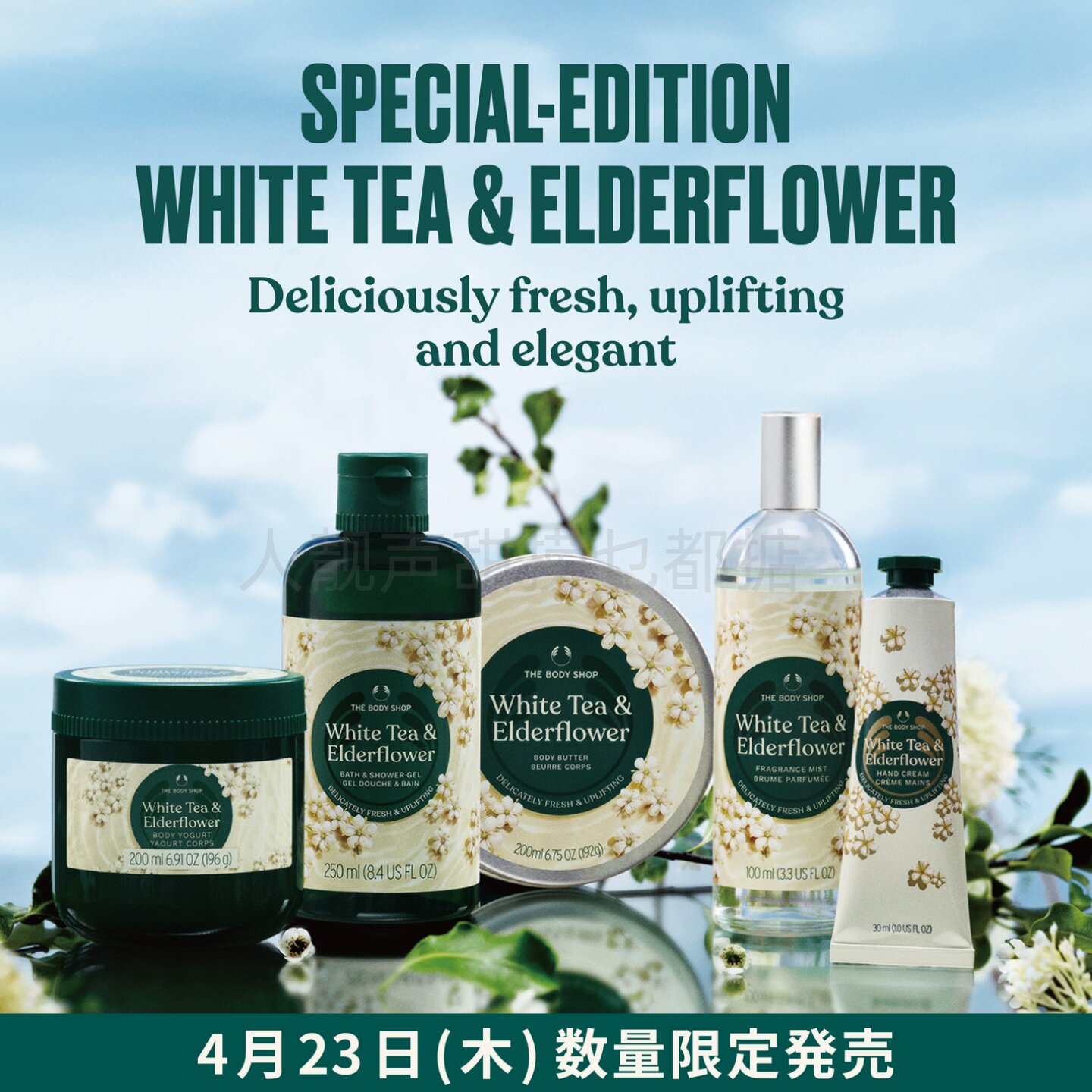 日本代the body shop香水白茶接骨木香薰喷雾美体小铺香薰沐浴露