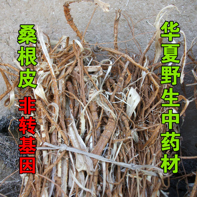 野生桑树根无硫熏中药材