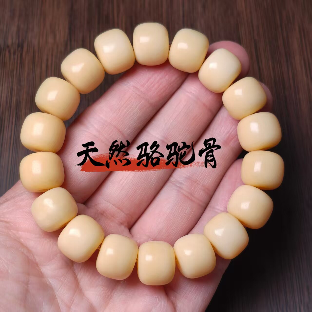 天然骆驼骨手串男盘玩佛珠骨类文玩冷门绕指柔手链女款老型桶珠