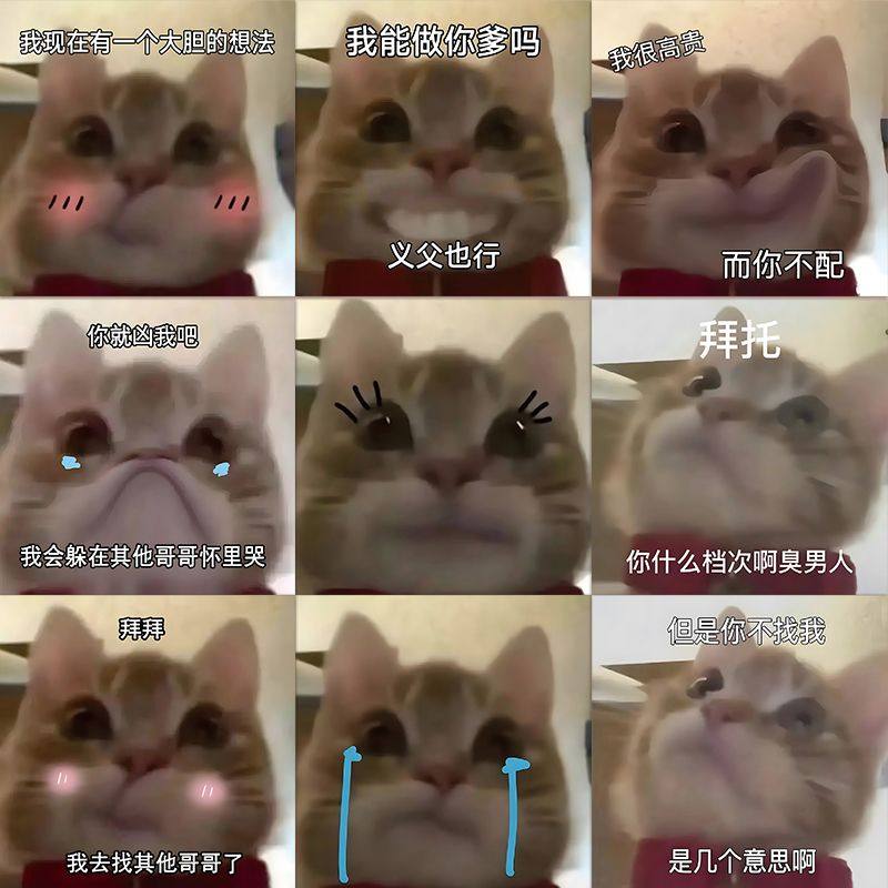 198张歪嘴小猫表情包猫猫贴纸搞笑沙雕爆款个性创意装饰防水贴画