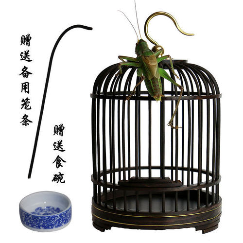 手工罐叫蝈蝈笼子爬虫