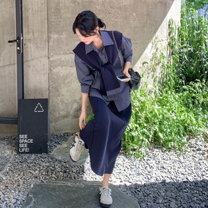 藏青色条纹学院风长袖衬衫套装女2025春秋季新款显瘦半身裙两件套图片