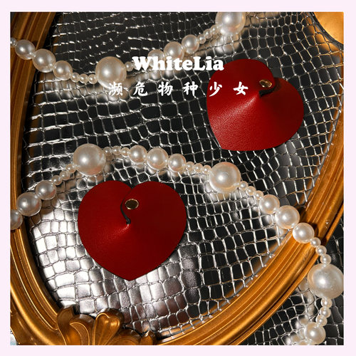 原创设计皮质乳贴3层加厚