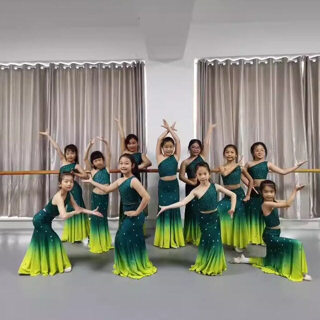 女童傣族缅桂花开亮钻大摆演出服
