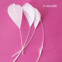 № 13, чтобы разорвать плавучую голову белой 50