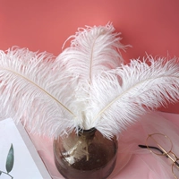 Острих волосы белые 25-30 см 5 корней