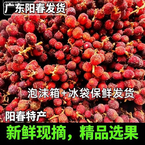 新鲜野生春砂仁阳春原产地新鲜现采摘泡蜂蜜泡酒煲汤暖宫养胃1斤
