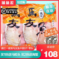 【10年老店】马友鱼5斤湛江一夜埕深海鲅鱼海鱼中段冷冻午鱼切片