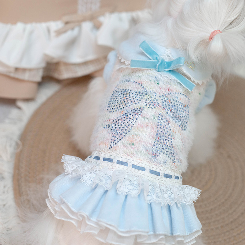 淘淘花瓣秋冬毛衣套装蝴蝶结烫钻BLING宠物衣服天鹅绒公主袖连衣,宠物/宠物食品及用品,狗宠物服装/雨衣,淘宝优惠券,粉丝福利购,淘宝优惠卷