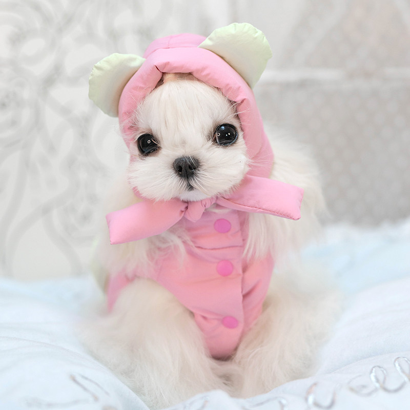 淘淘花瓣撞色多巴胺小熊羽绒服宠物衣服秋冬装90绒防水羽绒马甲,宠物/宠物食品及用品,狗宠物服装/雨衣,淘宝优惠券,粉丝福利购,淘宝优惠卷