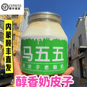 马五五奶皮子酸奶内蒙经典 老酸奶绿色蓝色奶皮酸奶新鲜日期顺丰发