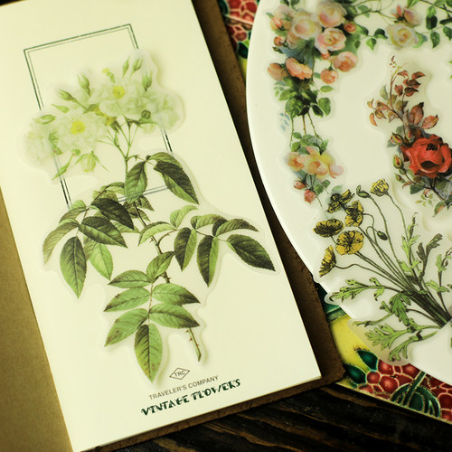 兔子家vintage花朵植物图鉴贴纸