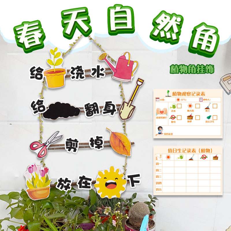 生长过程演示森系自制公约植物角
