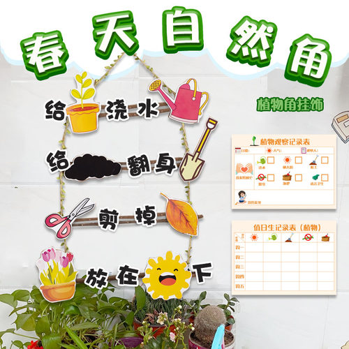 生长过程演示森系自制公约植物角