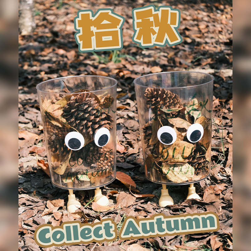 秋天主题趣味活动幼儿园环创秋季自然课程拾秋落叶透明收纳桶摆件