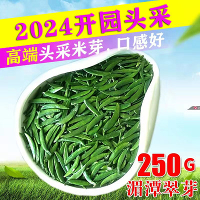 明前特级贵州手工炒青250G翠芽