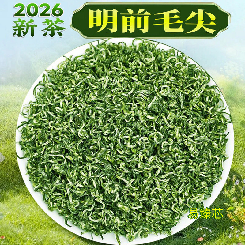 正宗毛尖绿茶2026新茶明前特级贵州高山云雾手工浓香散装茶叶500g