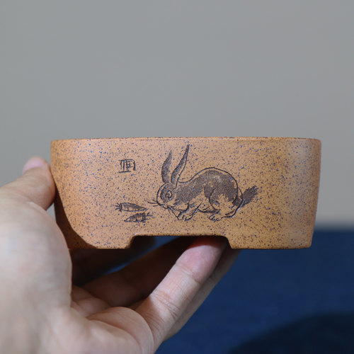 紫砂花盆刻绘手工盆景盆栽刻绘
