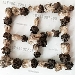 礼盒装】新疆巴楚野生蘑菇干食用菌香菇胡杨林皱柄羊肚菌500g包邮