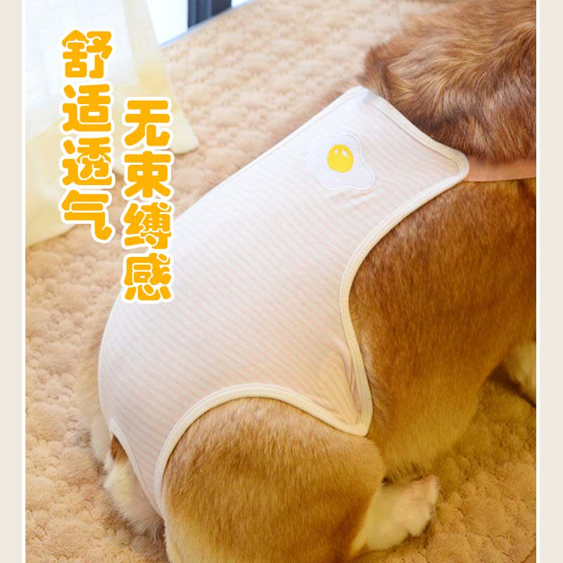 宠物生理裤月经例假宠物姨妈背带避孕礼貌柯基泰迪法斗犬透气新款