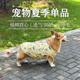 狗狗背心夏季 背心防掉毛透气防晒宠物衣服居家睡衣放着凉 全棉薄款