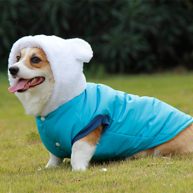 宠物狗狗衣服新款冬季棉袄棉服柯基犬秋冬棉衣保暖防风可爱不粘毛