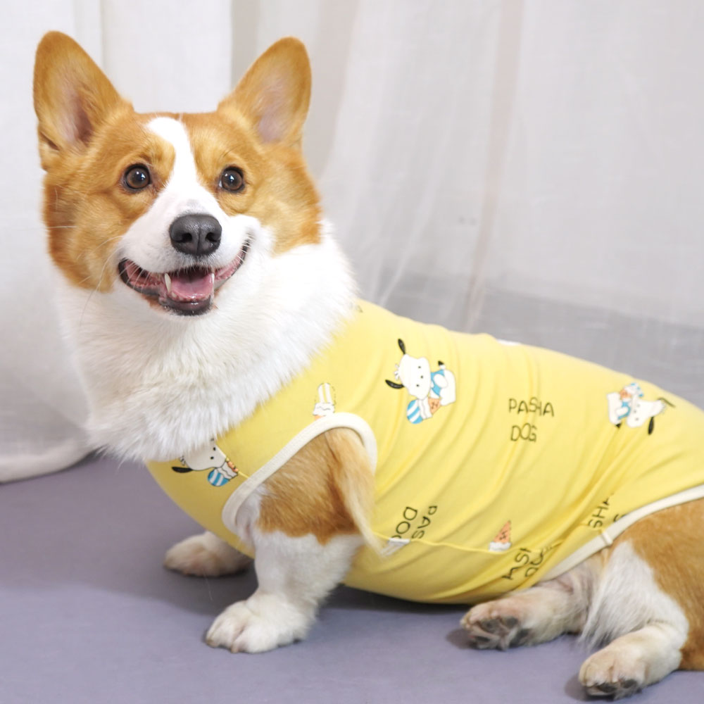 狗狗春夏季薄款衣服柯基犬棉质