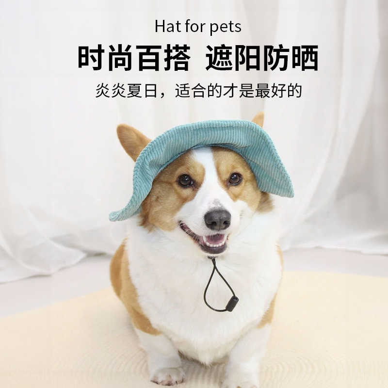 宠物防晒帽可爱猫咪狗狗帽子韩版露耳朵宠物渔夫帽防晒遮阳小黄帽