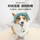 宠物防晒帽可爱猫咪狗狗帽子韩版 露耳朵宠物渔夫帽防晒遮阳小黄帽