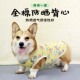宠物狗狗衣服春夏全棉防晒背心柯基法斗夏季 透气休闲马甲居家睡衣