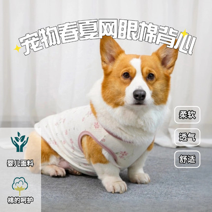 狗狗衣服夏季全棉网眼背心宠物薄款碎花背心透气柯基猫咪包肚衣