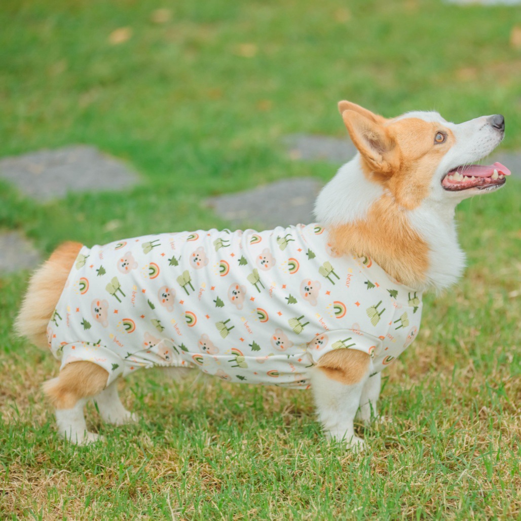 狗狗家居服睡衣空调房宠物四脚背心新款狗狗春秋柯基比熊睡觉衣服
