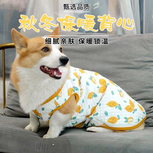 柯基保暖衣服卡通狗狗服装清新柠檬背心秋冬季保暖狗狗衣服冬季