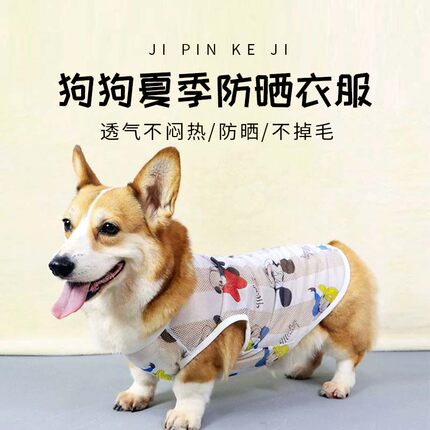 宠物狗狗衣服夏季柯基薄款衣服小型犬网眼透气背心四季防掉毛夏装