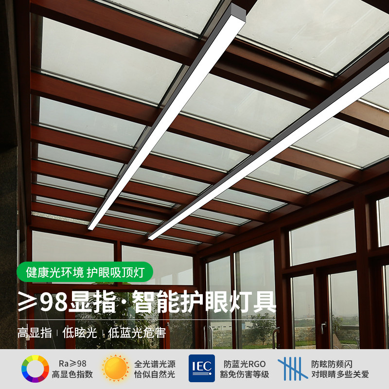 温室专用长条灯智能遥控阳台灯防雨防虫耐高温玻璃吸顶灯雨棚灯
