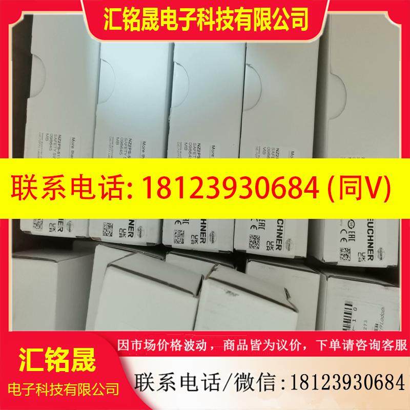 议价:098645安士能NZ2PS-511SVM5L060GE行程