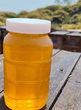 正宗荔枝蜂蜜纯正天然农家自产荔枝花蜂蜜