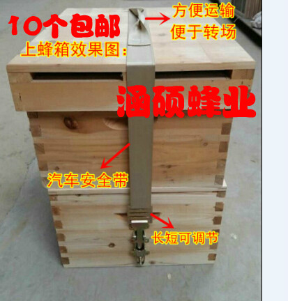 转场蜂具蜂箱链接器捆绑器捆线紧绳器捆绑带捆箱绑箱扣式连接器