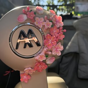 适用电动车爱玛九号雅迪台铃改装立体仿真桃花仪表风挡创意装饰贴