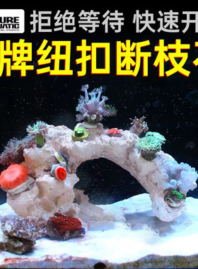 P牌成品造景石培菌石海缸珊瑚缸